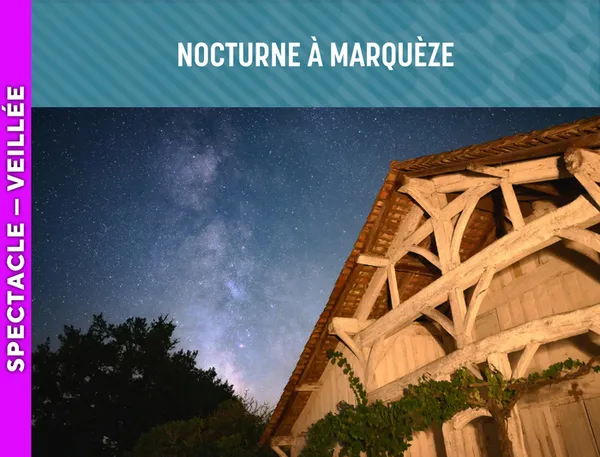 LANDES DE GASCOGNE - Nocturne à Marquèze