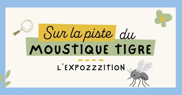 Sur la piste du moustique tigre