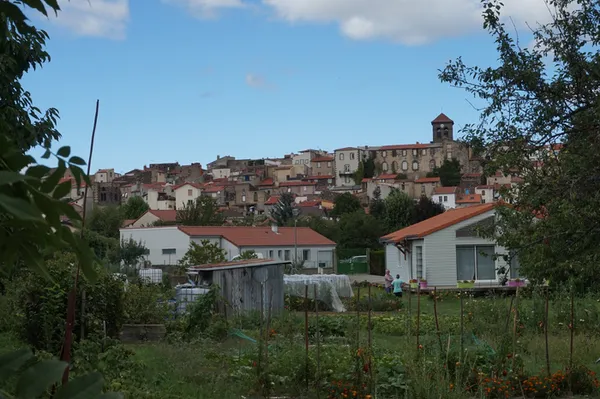 Découverte du potager