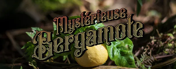 Visite guidée de l'expo "Mystérieuse bergamote"
