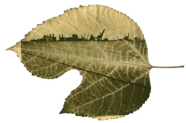 « PAN » exposition de Patrice Dion