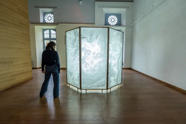 Déambulation musicale dans l'exposition "Le chant de l'eau"