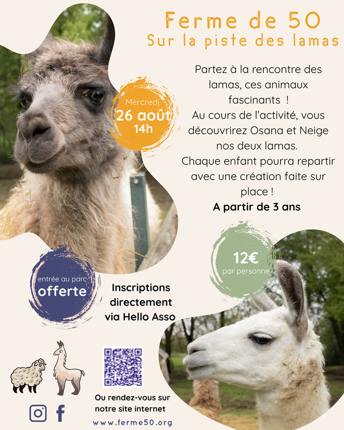 Sur la piste des lamas