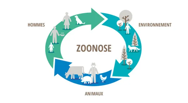 Prévenir les zoonoses et la maladie du poumon fermier