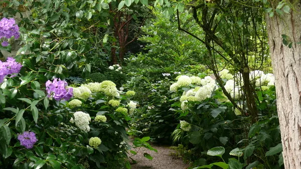 Visite libre du jardin