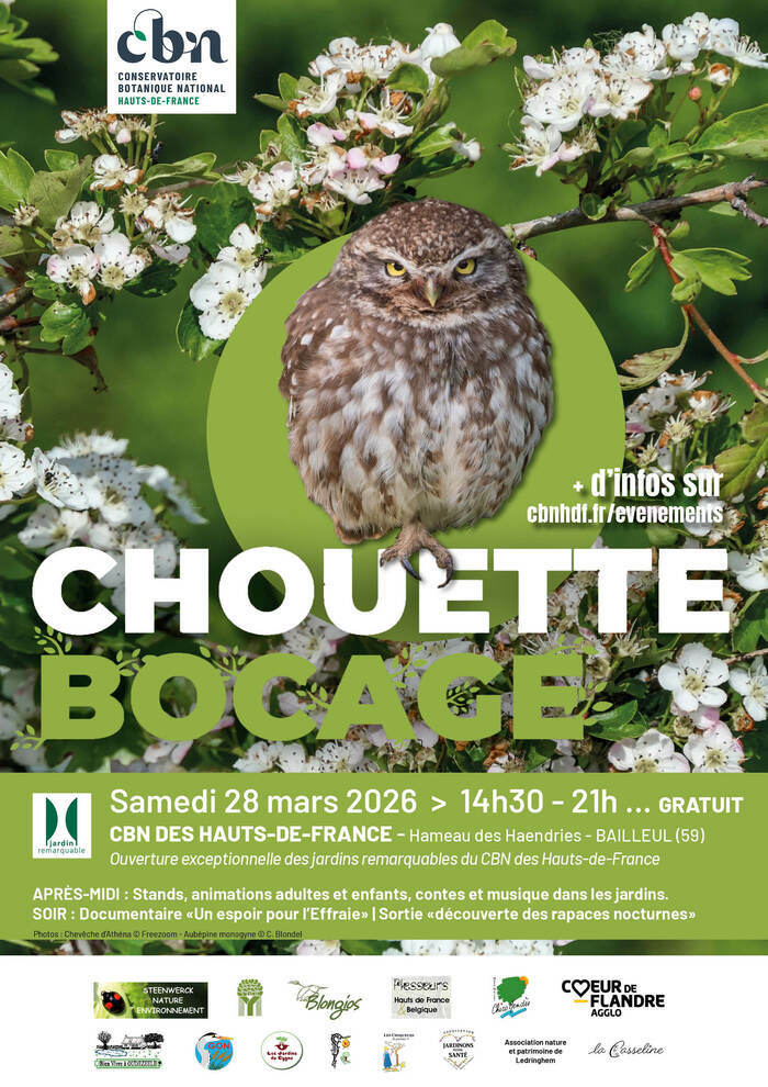 Chouette bocage
