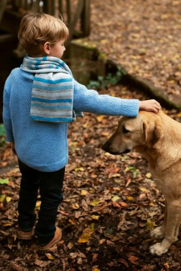 Atelier - rencontre : les bons gestes avec un chien
