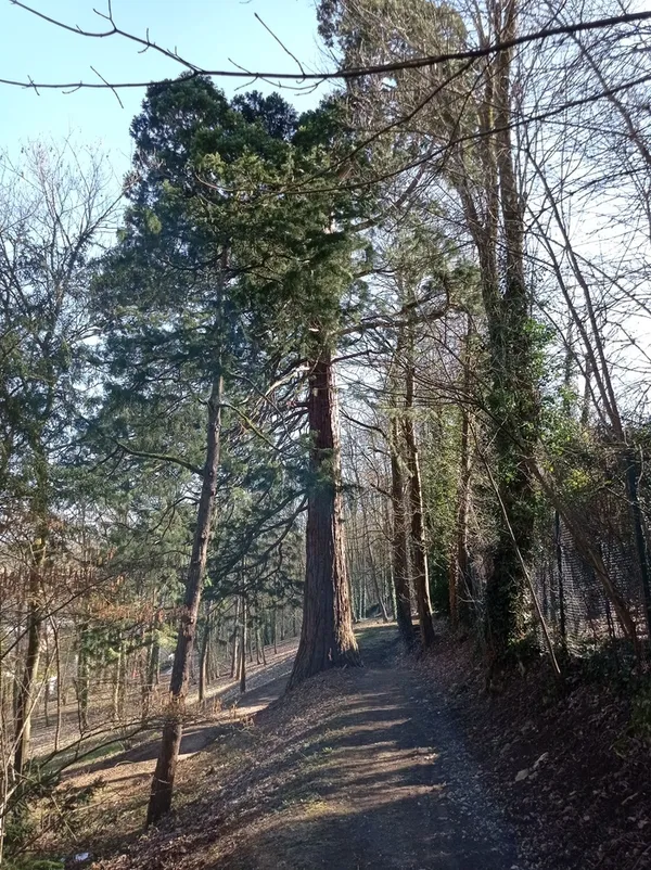 Parc de la Gloriette