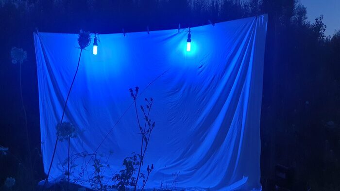 Conférence Les animaux de la nuit