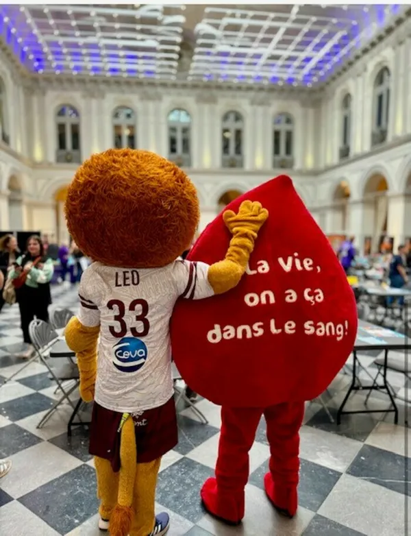 Collecte de sang de Bordeaux : Mon sang pour les autres