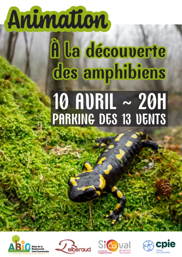 A la rencontre des batraciens
