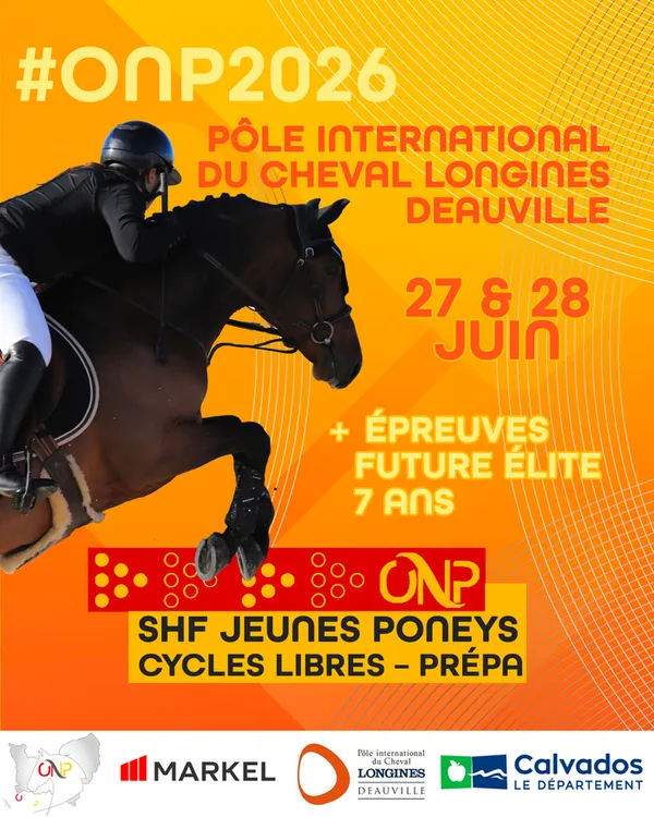 Concours de saut d'obstacles jeunes poneys