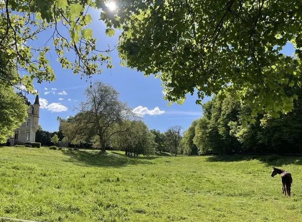 Balade découverte du parc du château de Luanges