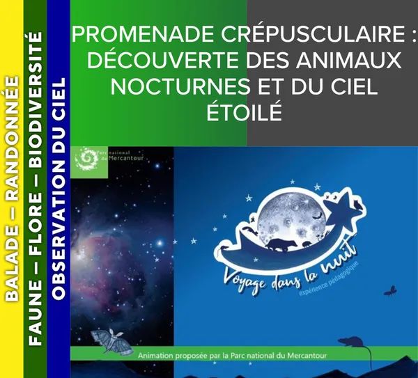 ALPES AZUR MERCANTOUR - Promenade crépusculaire : découverte des animaux nocturnes et du ciel étoilé