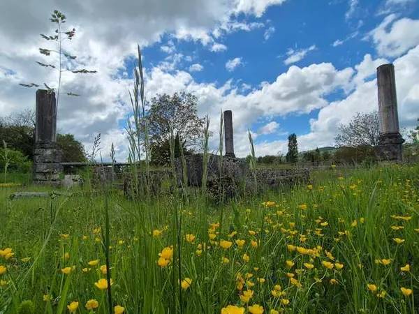 Visite guidée : Les vestiges du temple