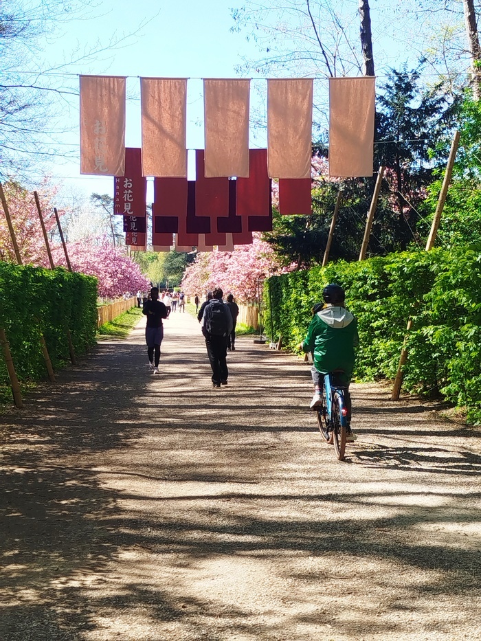 Tour des Hauts-de-Seine en 92km