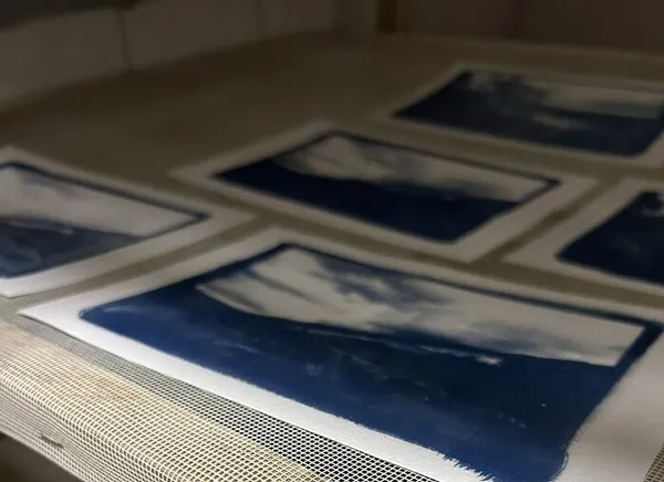 Exposition de cyanotypes par Angèle Thirion