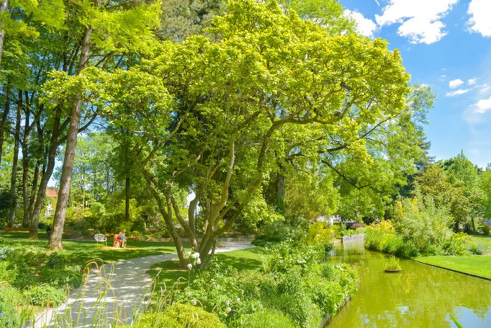 Balade au parc Victor-Thuillat