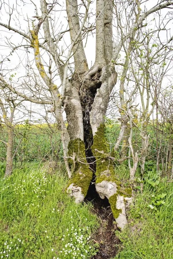 Rando bocagère