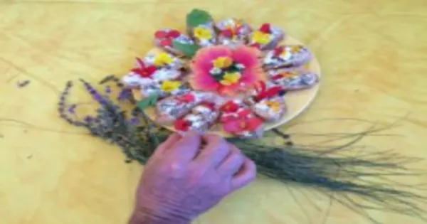 Sortie botanique et cuisine sauvage à Dému