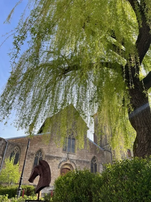 Visite guidée de la Vieille Ville