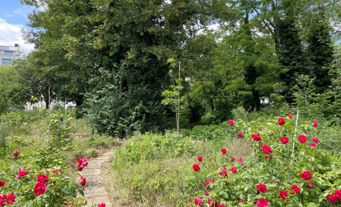 Découverte de l’agroforêt urbaine Sylvia