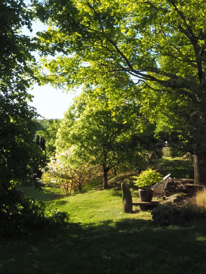Les yeux au jardin ...