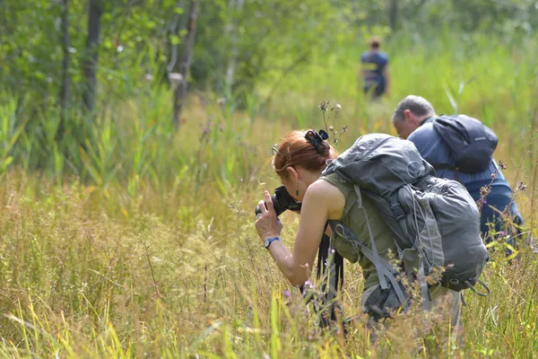 S’essayer à la photographie animalière dans la RNR du Marais de Stors