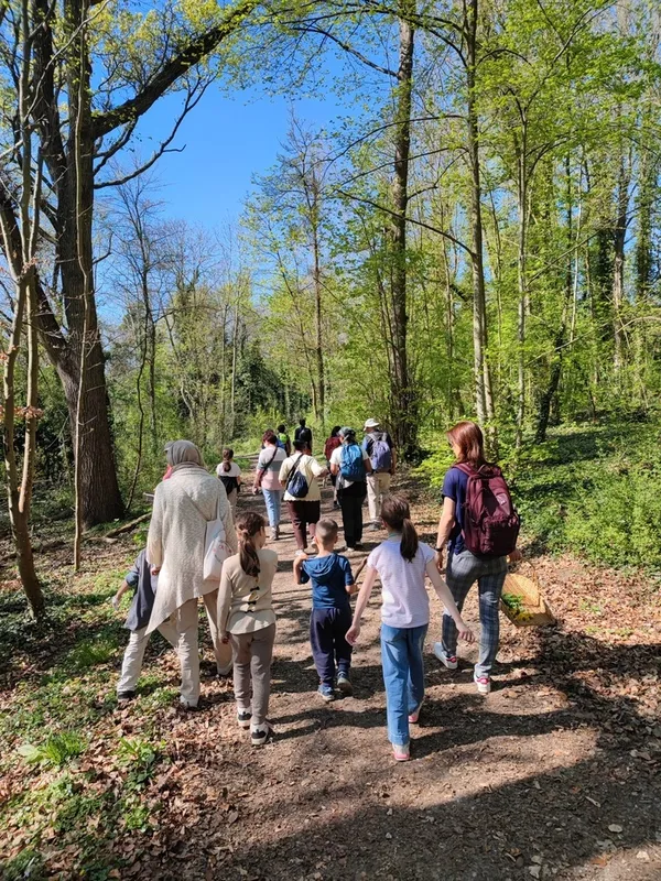 Balade à la rencontre de la biodiversité et des plantes sauvages.