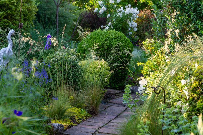 Visite découverte d'un jardin de couleurs et d'odeurs, jardin de peintre