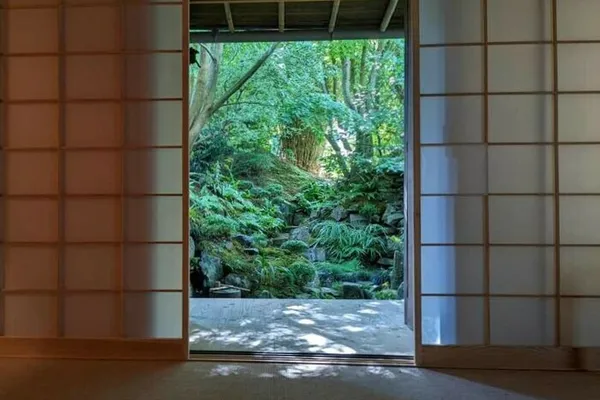Visite d'un jardin de caractère, pour le thé japonais