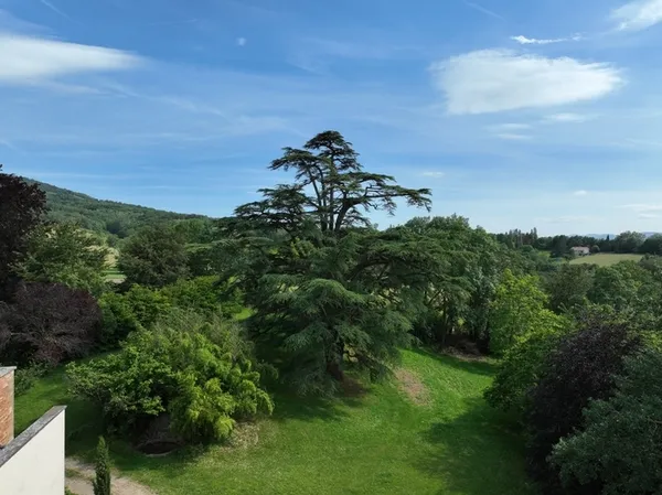 Visite guidée des arbres du domaine