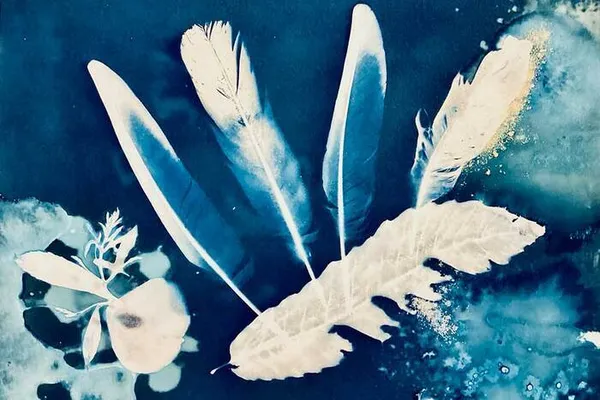 Atelier cyanotype
