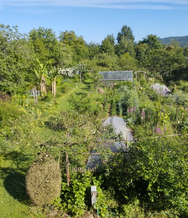 Jardin en biodynamie
