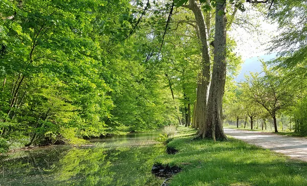 Lancement du parcours audioguidé du parc