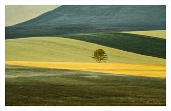 Franco Fontana : Full Color