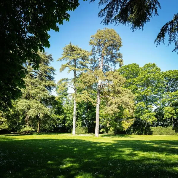 Balades guidées – Le parc du Château de Ray-sur-Saône et ses détails