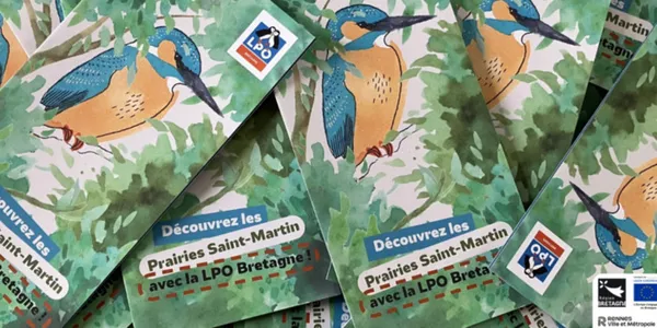 Sortie nature "Les œufs des oiseaux" aux Prairies Saint-Martin