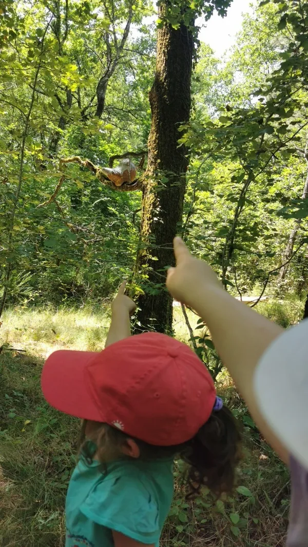 Balade guidée avec animateur nature