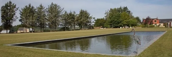Découverte du jardin Le miroir, organisé autour du miroir d'eau.
