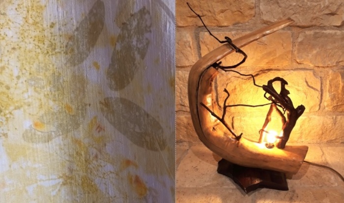 La nature au service de l'art