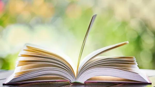Printemps du Livre