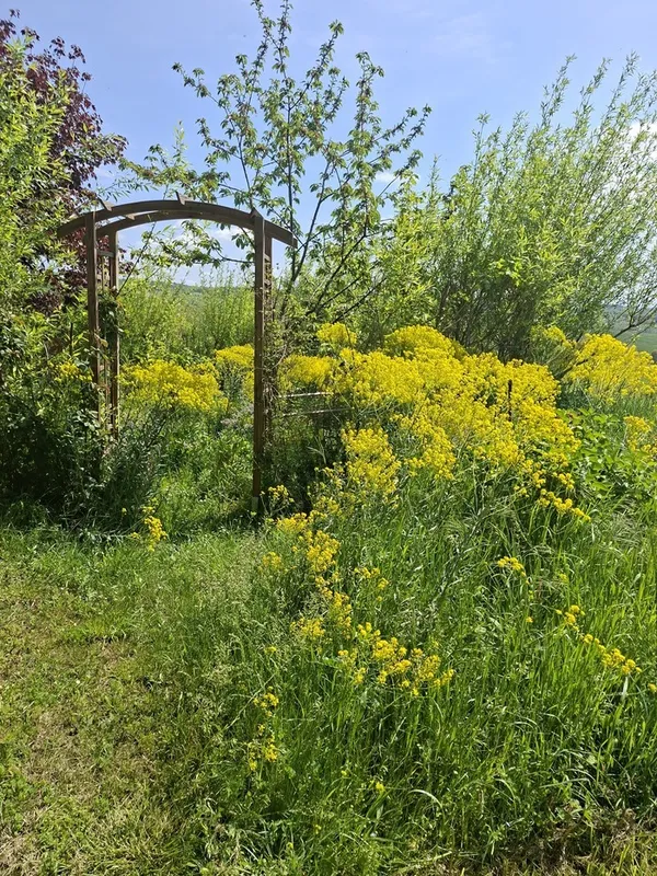 Du végétal au paysage : une traversée sensible du jardin