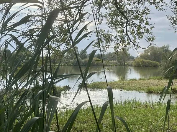 Balade naturaliste : regards d’automne