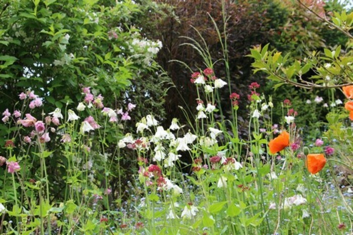 Visite du jardin « À la croisée des sens »