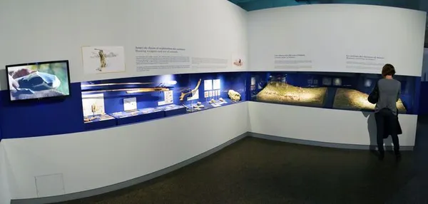 Visite libre du musée de la Préhistoire