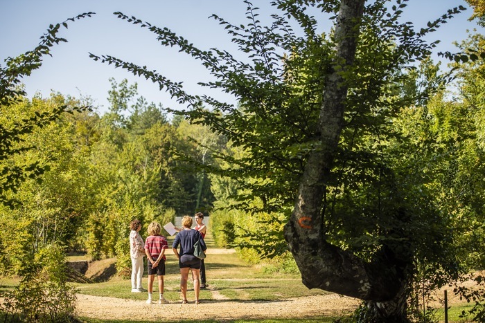 Rendez-vous aux jardins au château de La Brède : visite des jardins de Montesquieu