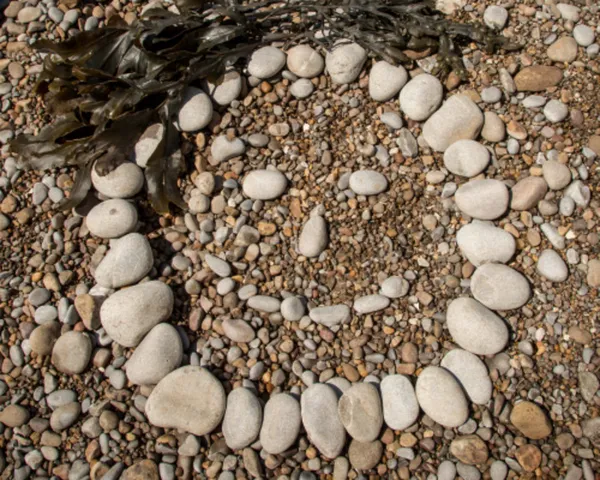 Initiation au land art