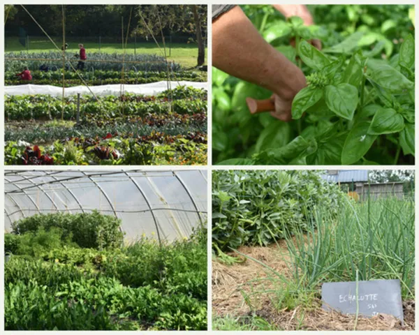 Rendez-vous aux Jardins collectifs de l'Abbaye