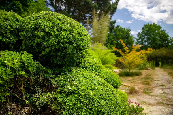 Rendez-vous aux Jardins de La Bruyère
